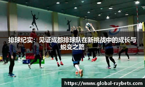排球纪实：见证成都排球队在新挑战中的成长与蜕变之路
